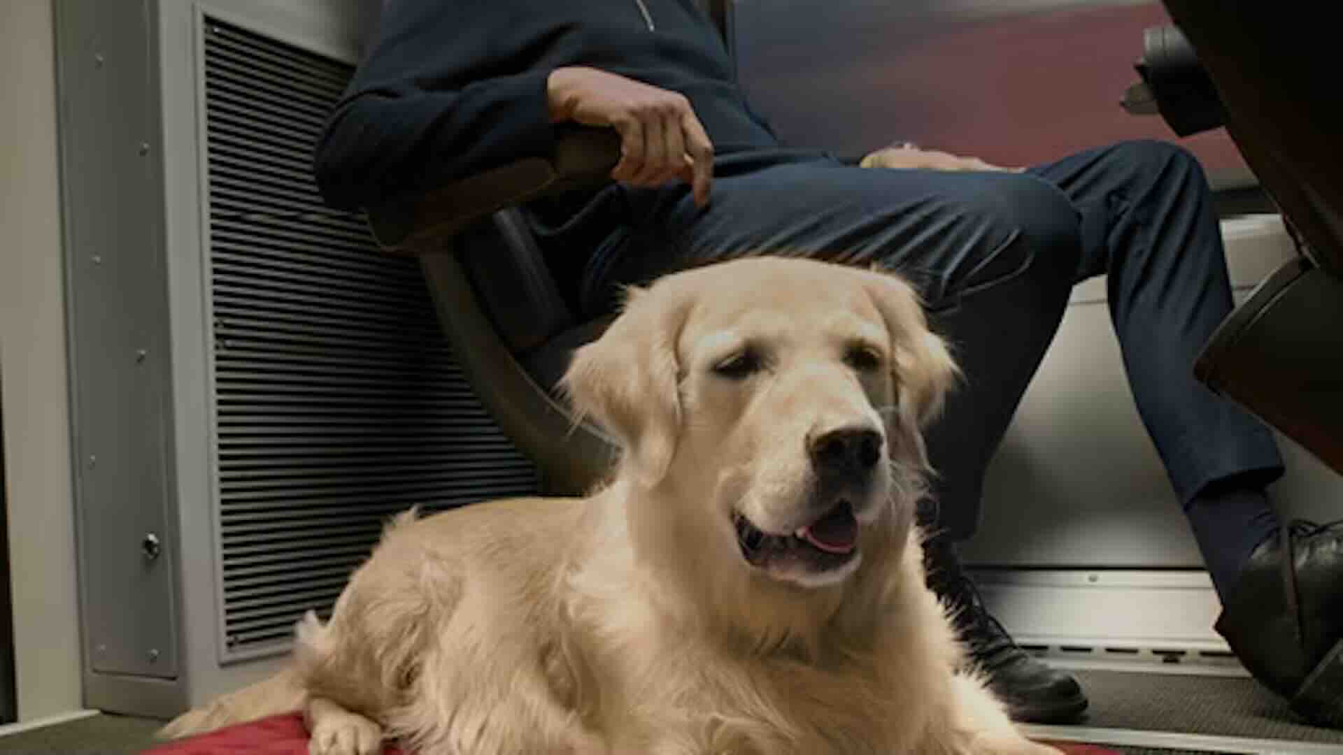 Italo, in treno con cane di grossa taglia e posto riservato 