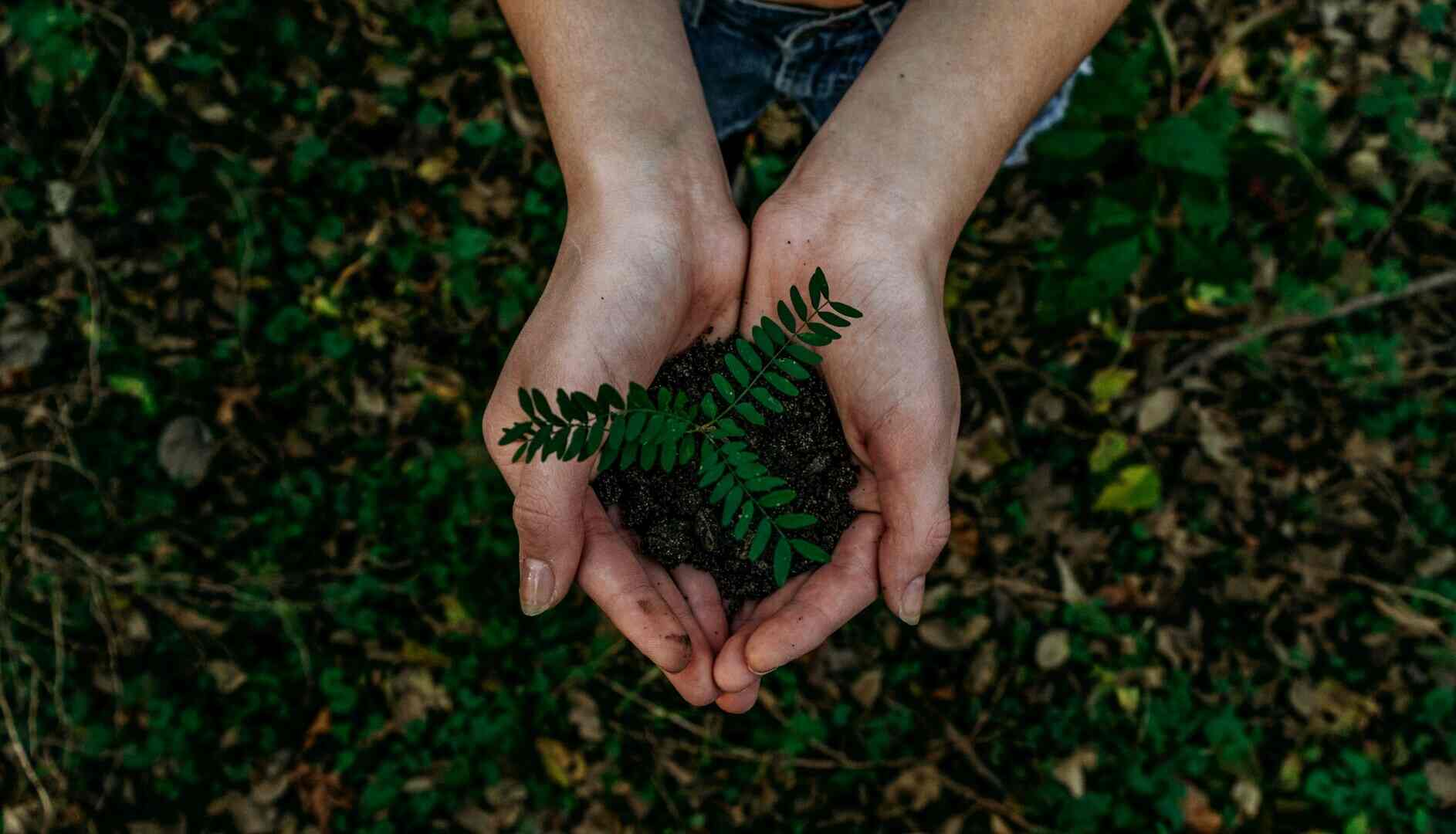 Tper a Ecomondo, Rimini: 434 milioni di investimenti 2024/2030 per innovazione e mobilità sostenibile