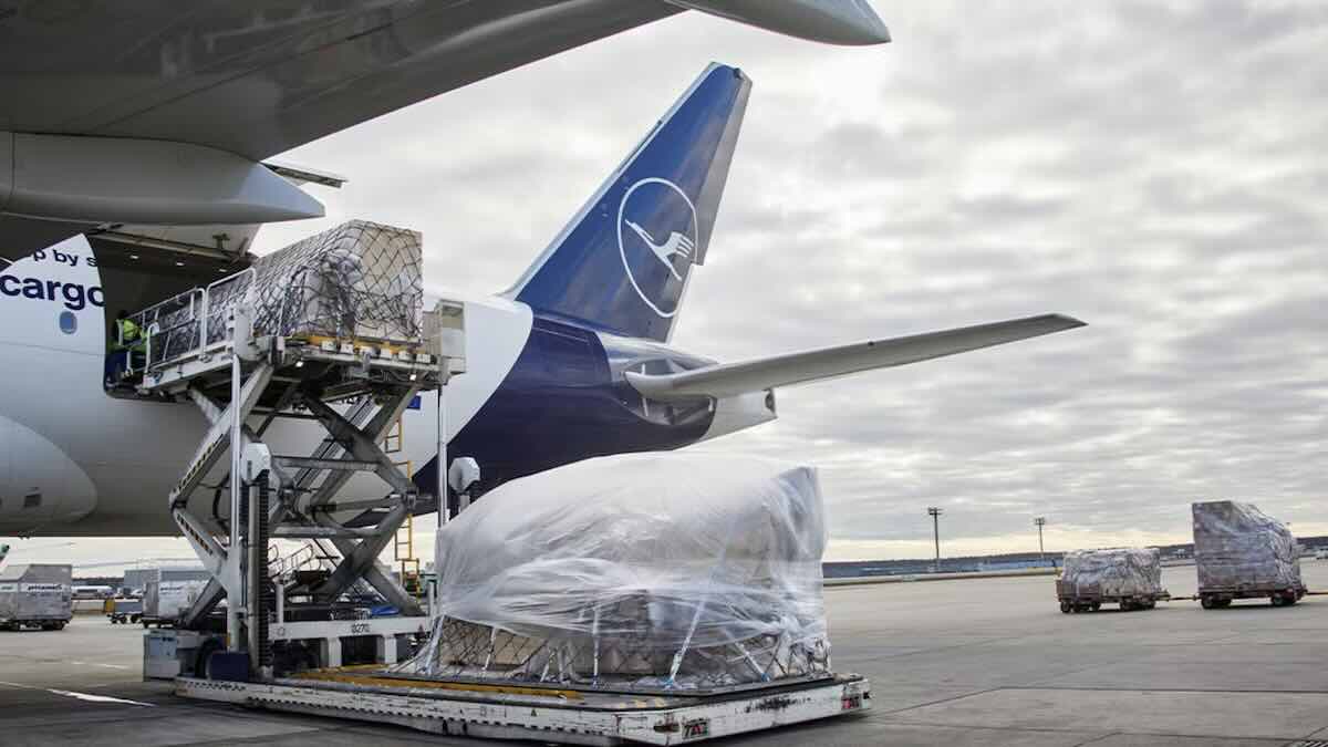 I trasporti più strani sui voli Lufthansa Cargo nel 2024